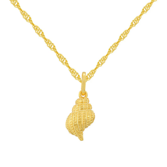 SANDY SHINNY SHELL NECKLACE